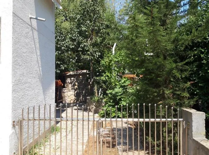 Bozena Krk * Krk Town